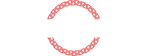 biz-professional.com